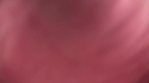15964
