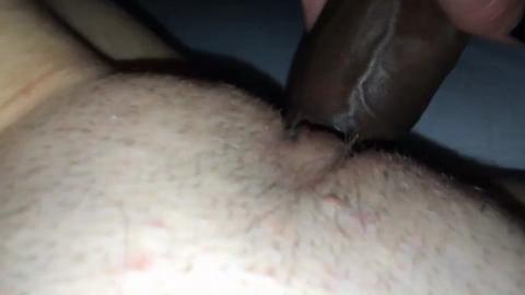 45591