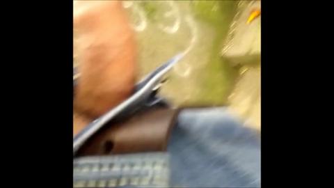 41041