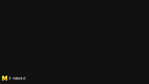 31036
