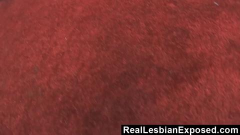 31353