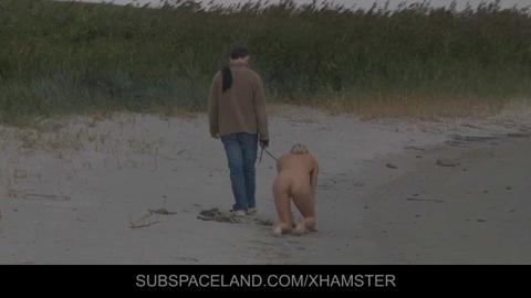 15123