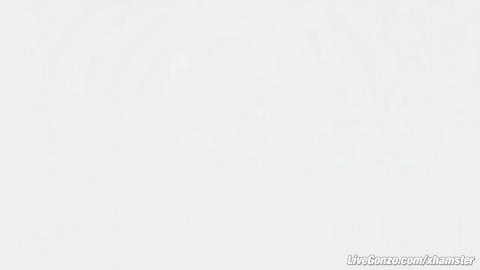 24081