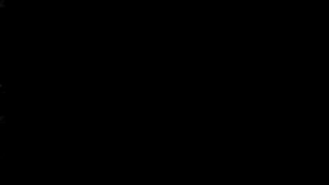39853